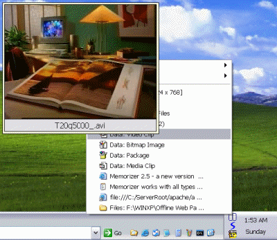 Screenshot of Memorizer eXP 5.3